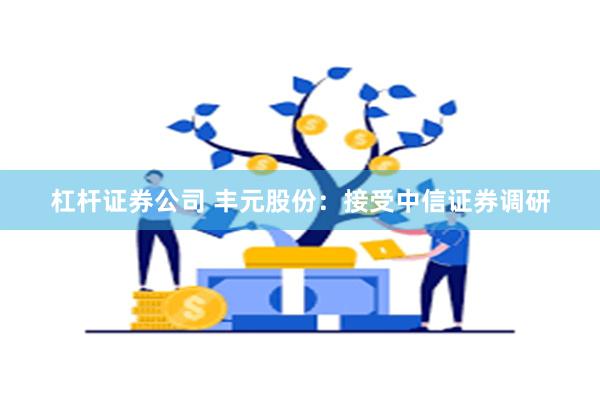 杠杆证券公司 丰元股份：接受中信证券调研