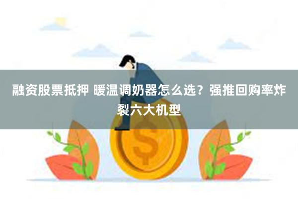 融资股票抵押 暖温调奶器怎么选？强推回购率炸裂六大机型