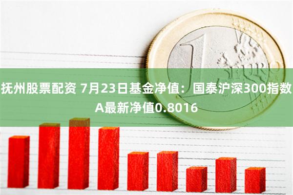 抚州股票配资 7月23日基金净值：国泰沪深300指数A最新净值0.8016