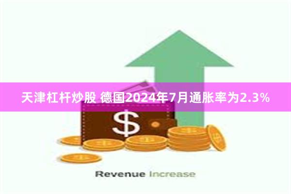 天津杠杆炒股 德国2024年7月通胀率为2.3%