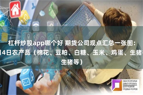 杠杆炒股app哪个好 期货公司观点汇总一张图：9月4日农产品（棉花、豆粕、白糖、玉米、鸡蛋、生猪等）