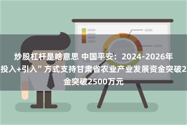 炒股杠杆是啥意思 中国平安：2024-2026年将通过“投入+引入”方式支持甘肃省农业产业发展资金突破2500万元