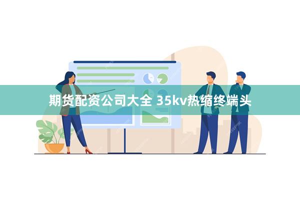 期货配资公司大全 35kv热缩终端头