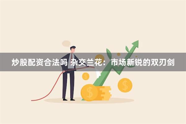 炒股配资合法吗 杂交兰花：市场新锐的双刃剑