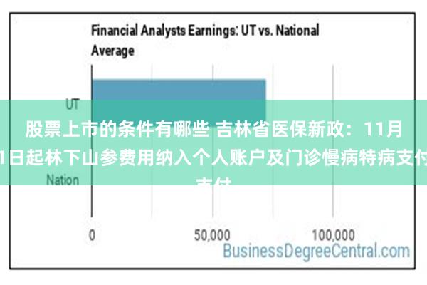 股票上市的条件有哪些 吉林省医保新政：11月1日起林下山参费用纳入个人账户及门诊慢病特病支付
