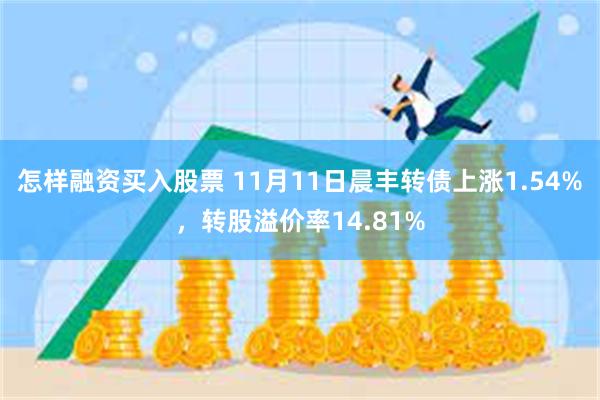 怎样融资买入股票 11月11日晨丰转债上涨1.54%，转股溢价率14.81%