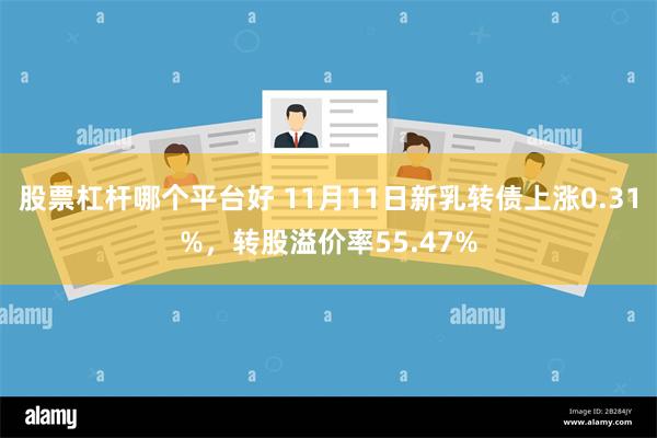 股票杠杆哪个平台好 11月11日新乳转债上涨0.31%，转股溢价率55.47%