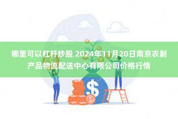 哪里可以杠杆炒股 2024年11月20日南京农副产品物流配送中心有限公司价格行情