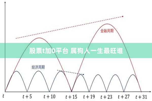 股票t加0平台 属狗人一生最旺谁