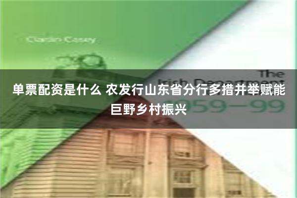 单票配资是什么 农发行山东省分行多措并举赋能巨野乡村振兴