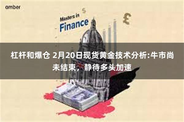 杠杆和爆仓 2月20日现货黄金技术分析:牛市尚未结束，静待多头加速