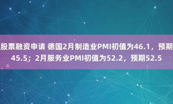 股票融资申请 德国2月制造业PMI初值为46.1，预期45.5；2月服务业PMI初值为52.2，预期52.5